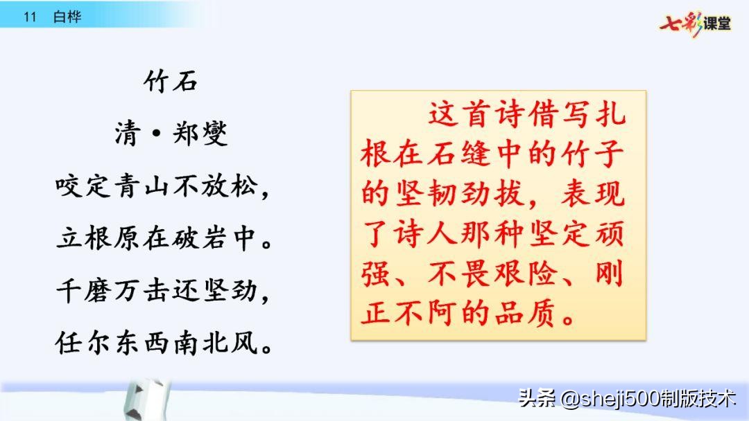 语文教科书四年级下册11课白桦,四年级语文书下册白桦讲解及预习