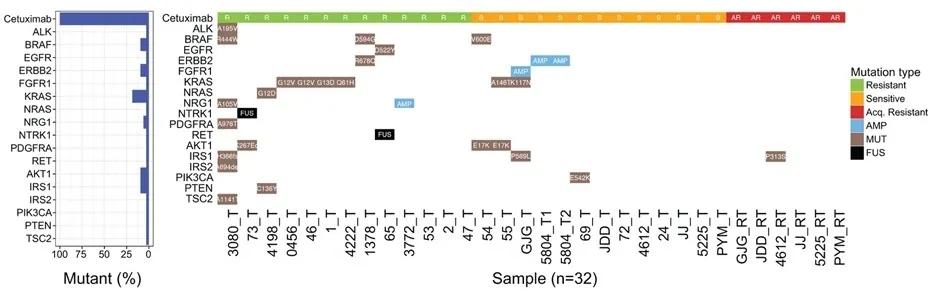 dna与rna在细胞中的分布实验步骤,dna和rna能检查出来癌细胞吗
