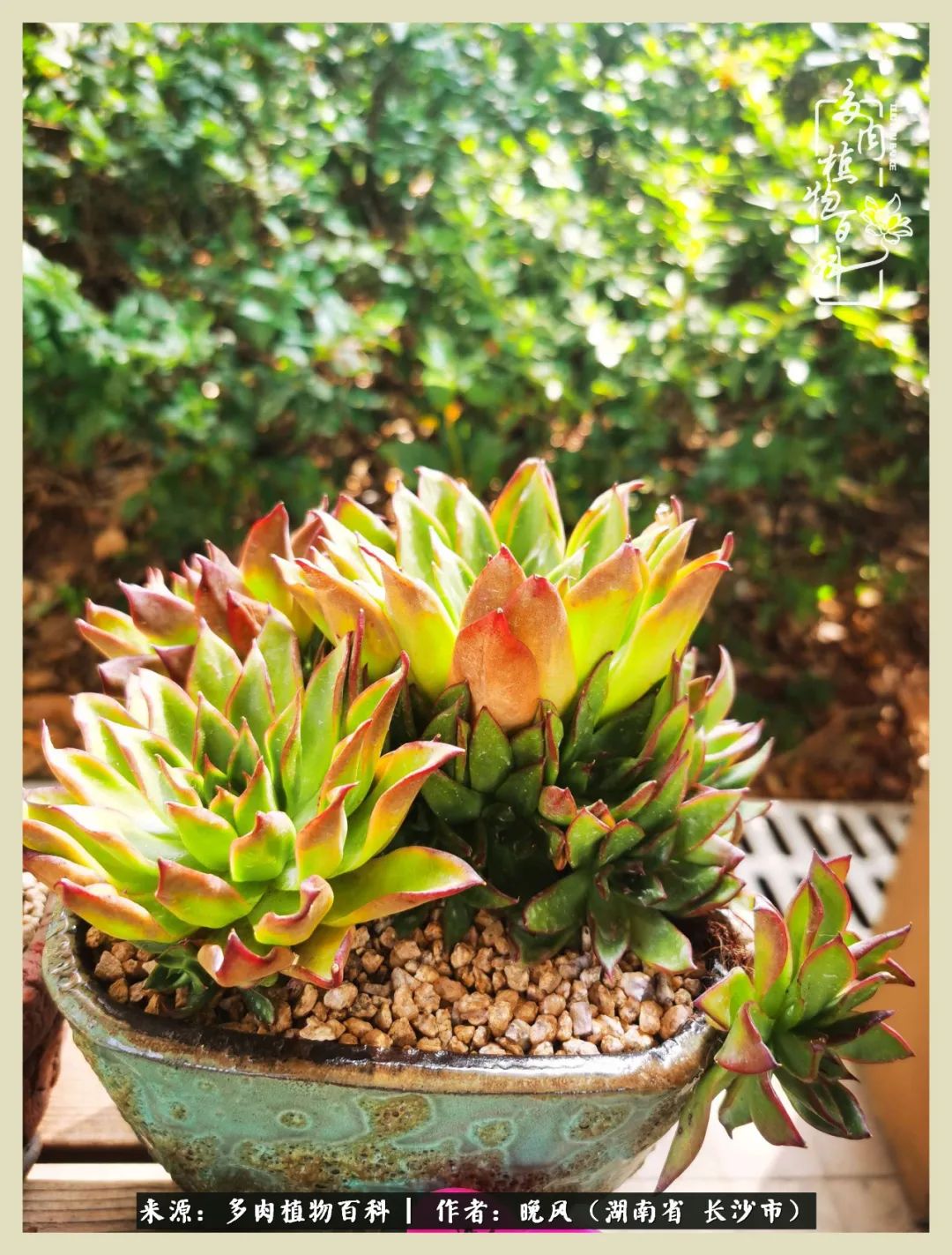 摇身一变成了奶爸,摇身一变成为打工人