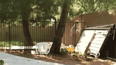 如果你的生命只剩5秒你会做什么,如果只剩下5秒时间你会做什么