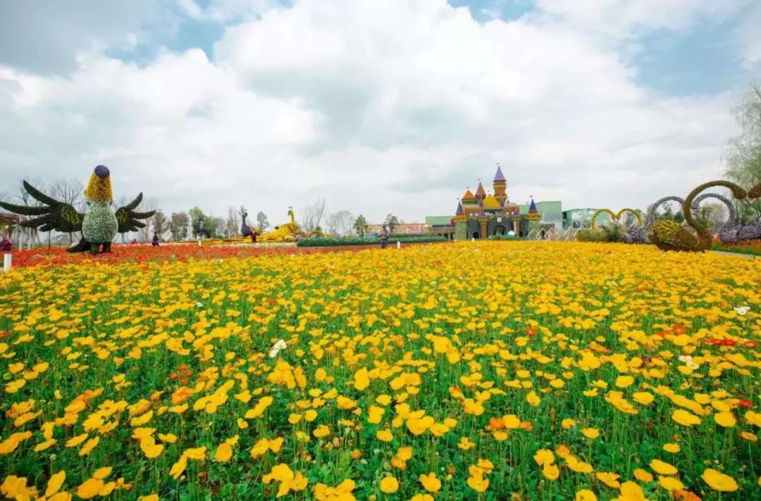 朋友请听好！安仁解忧杂货铺来了