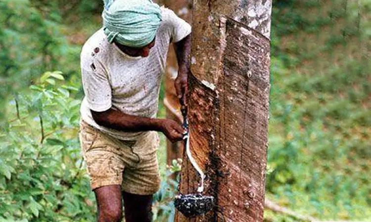 乳胶做枕头,用乳胶做的枕头