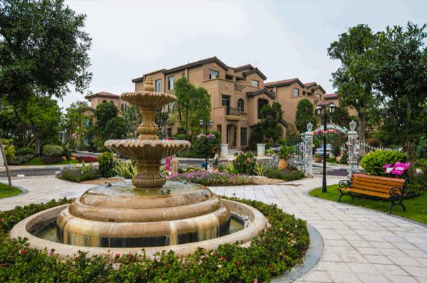 芳华60载|碧桂园与茂名共成长