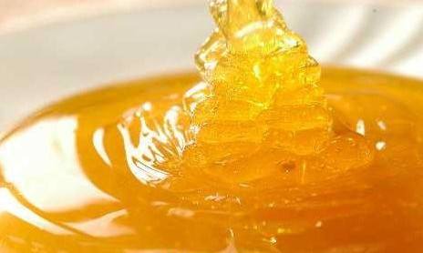 黑山谷采摘刺竹笋,高山野笋采摘