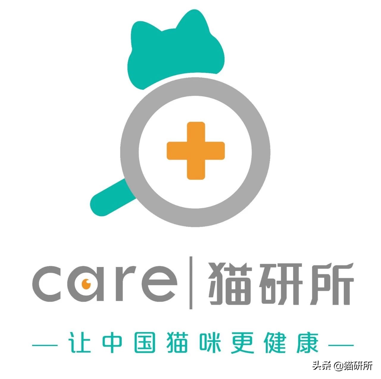 猫咪打疫苗跟狂犬疫苗一样吗,猫咪打疫苗针头往上还是往下