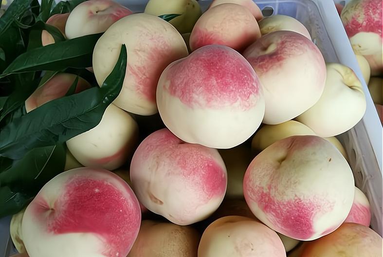 爆炸桃是炸的好还是不炸的好,爆炸桃是骗局吗