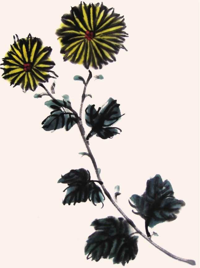 国画菊花的叶子画法步骤入门,梅兰竹菊国画菊花初学者怎么用笔
