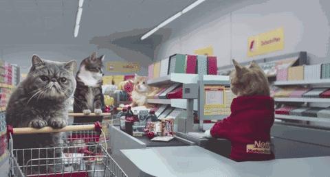 双十一省钱技巧视频,双十一最省钱的技巧