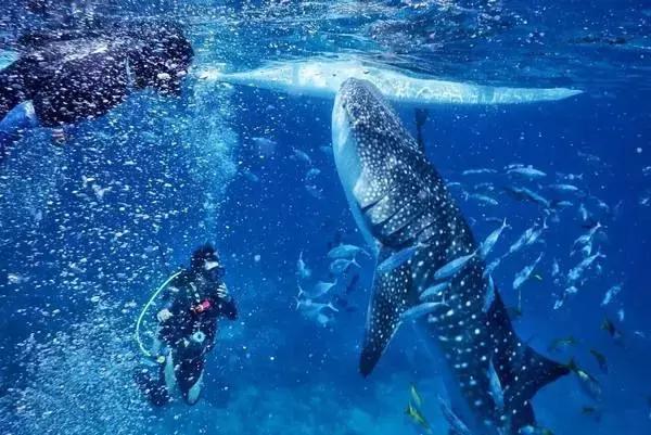 有个岛国，比美马代，比海南便宜，机票500起！