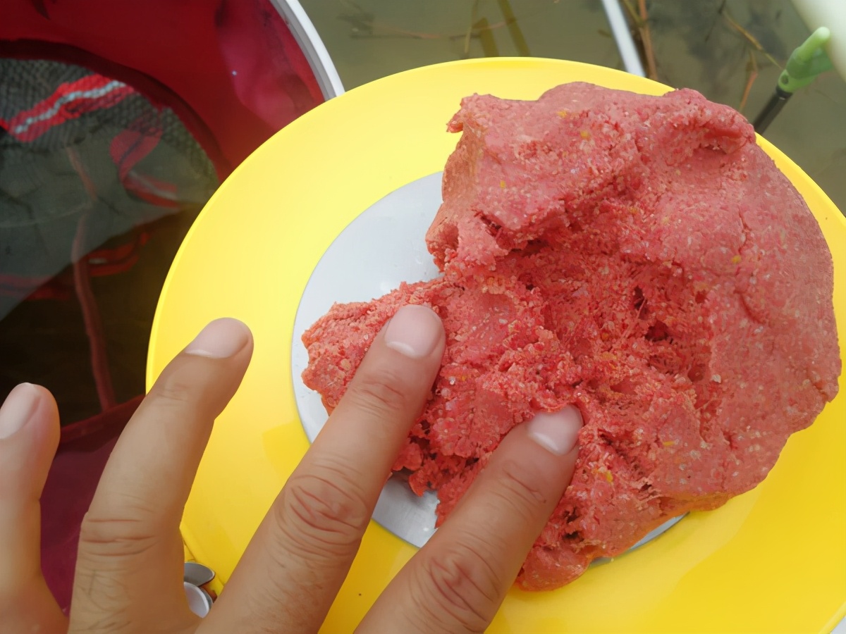 疯钓鲫是什么味的,疯钓鲫加蓝鲫