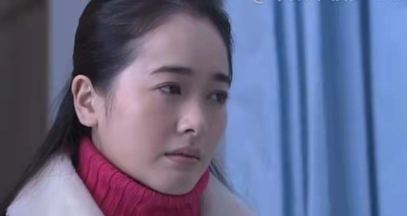 中国式离婚深度解析,中国式离婚讲述一个什么道理