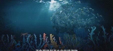 渔业危机纪录片,渔业阴谋纪录片预告