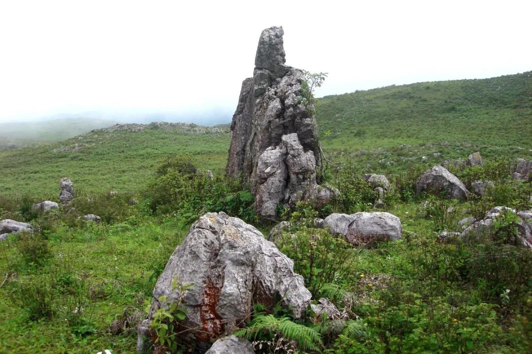 走进深山看美景,走进深山看大山里的风景