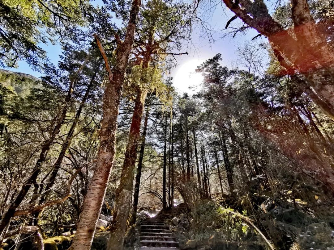 木格措一日游,去木格措最难走的路