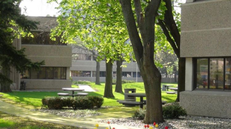 加拿大名校麦吉尔大学怎么样?比浙大排名要好