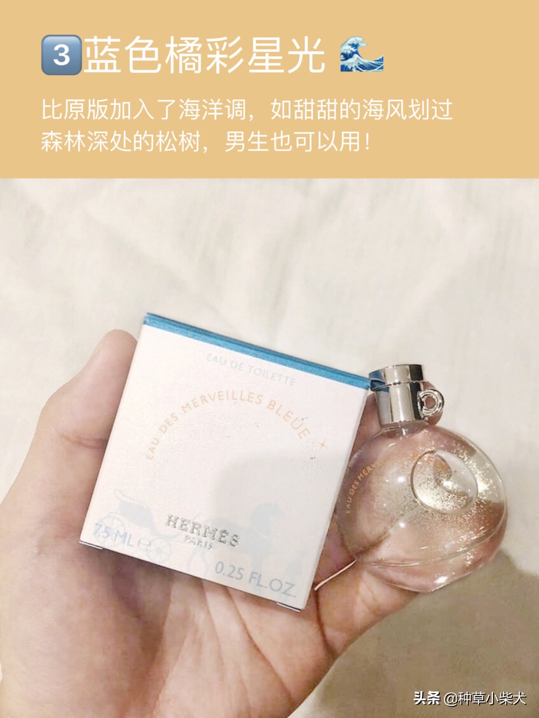 爱马仕律动二十四淡香水 (爱马仕蓝色橘彩星光香水)