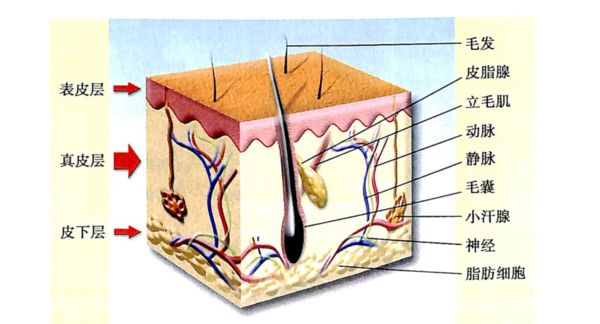 起痣是用药好还是用激光好,点长毛的痣需要手术还是激光