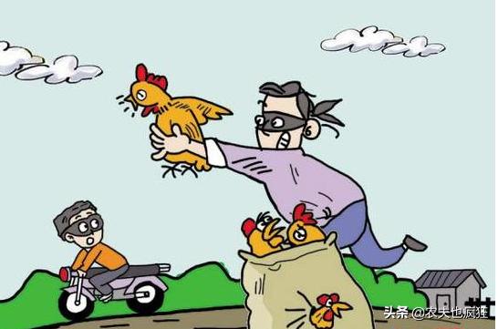 发现小偷偷自己东西怎么办,发现小偷偷东西怎么办幼儿教案