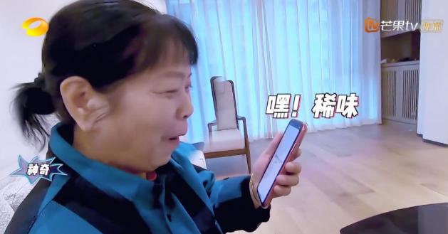 何炅李维嘉淘汰,快本停更因为李维嘉吗