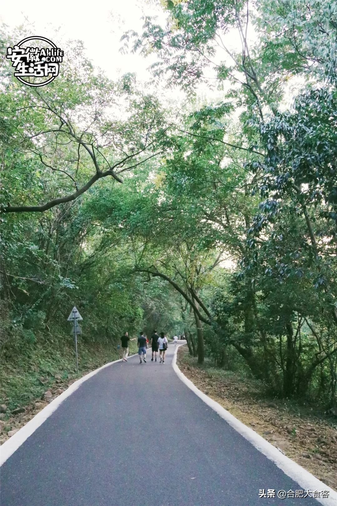 合肥大蜀山的秘密,合肥大蜀山的由来