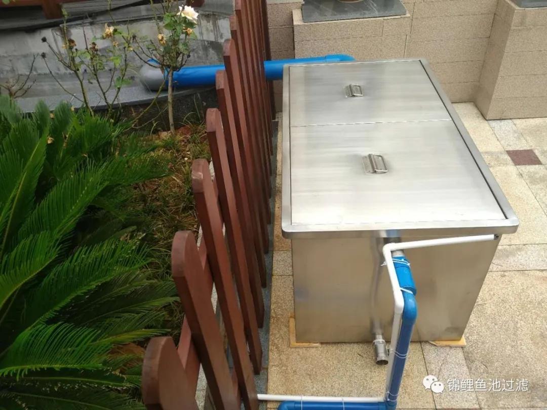 养锦鲤必备的一款鱼池过滤器,锦鲤鱼池过滤器自制方法