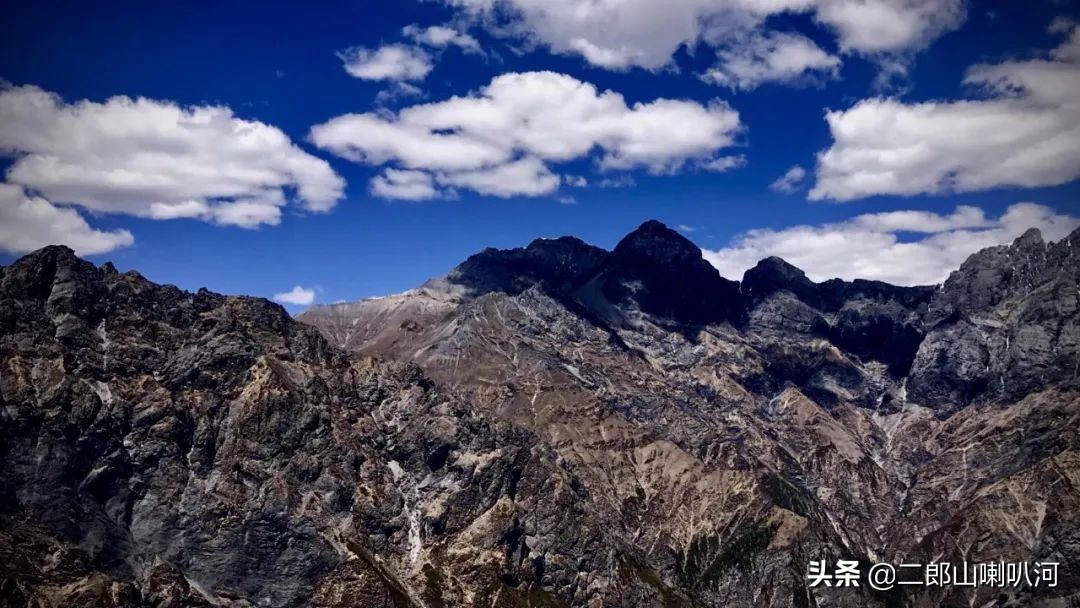 鎶婇鏅粰甯﹁蛋,鎶婂ス甯﹁蛋