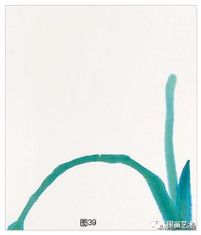 芭蕉叶画法教程,国画芭蕉画法视频