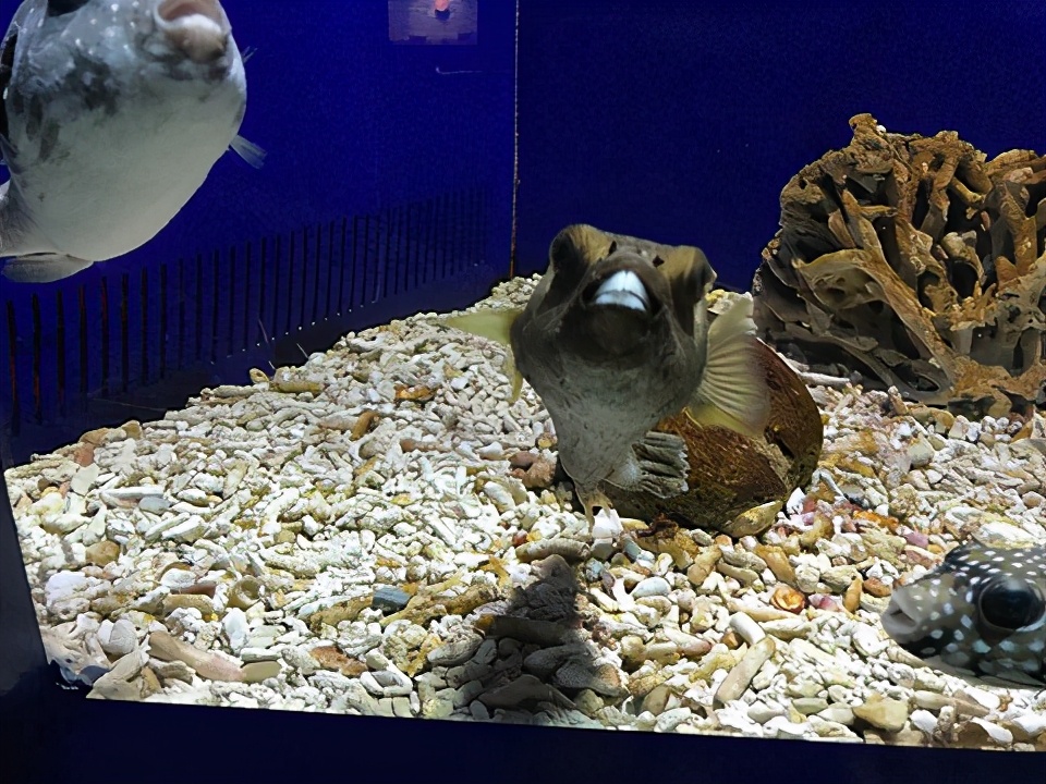 南通有哪些比较好玩的旅游景点,南通有哪些好玩的旅游景点