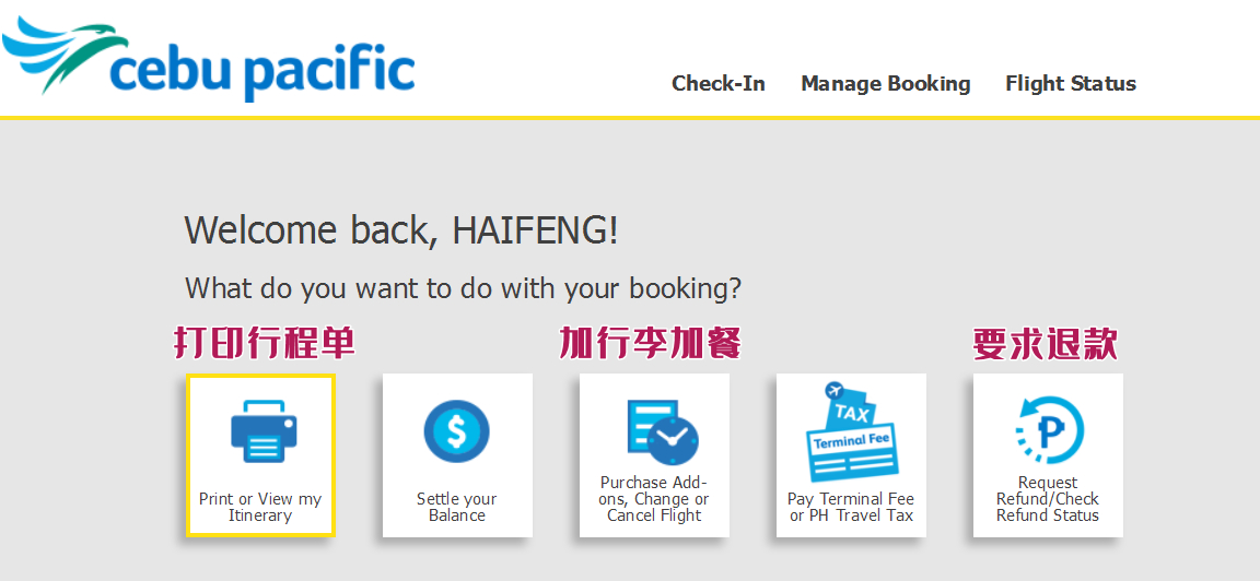 宿务航空没有收到订票信息,预订了机票怎么没来航班信息