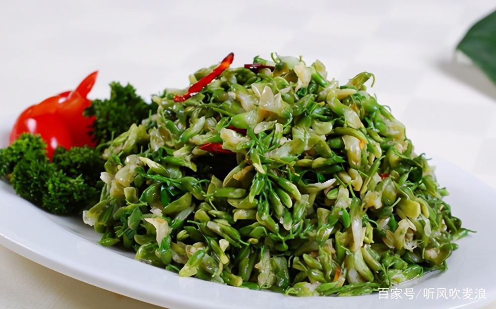 遥远的乡愁原文,遥远的乡愁1976