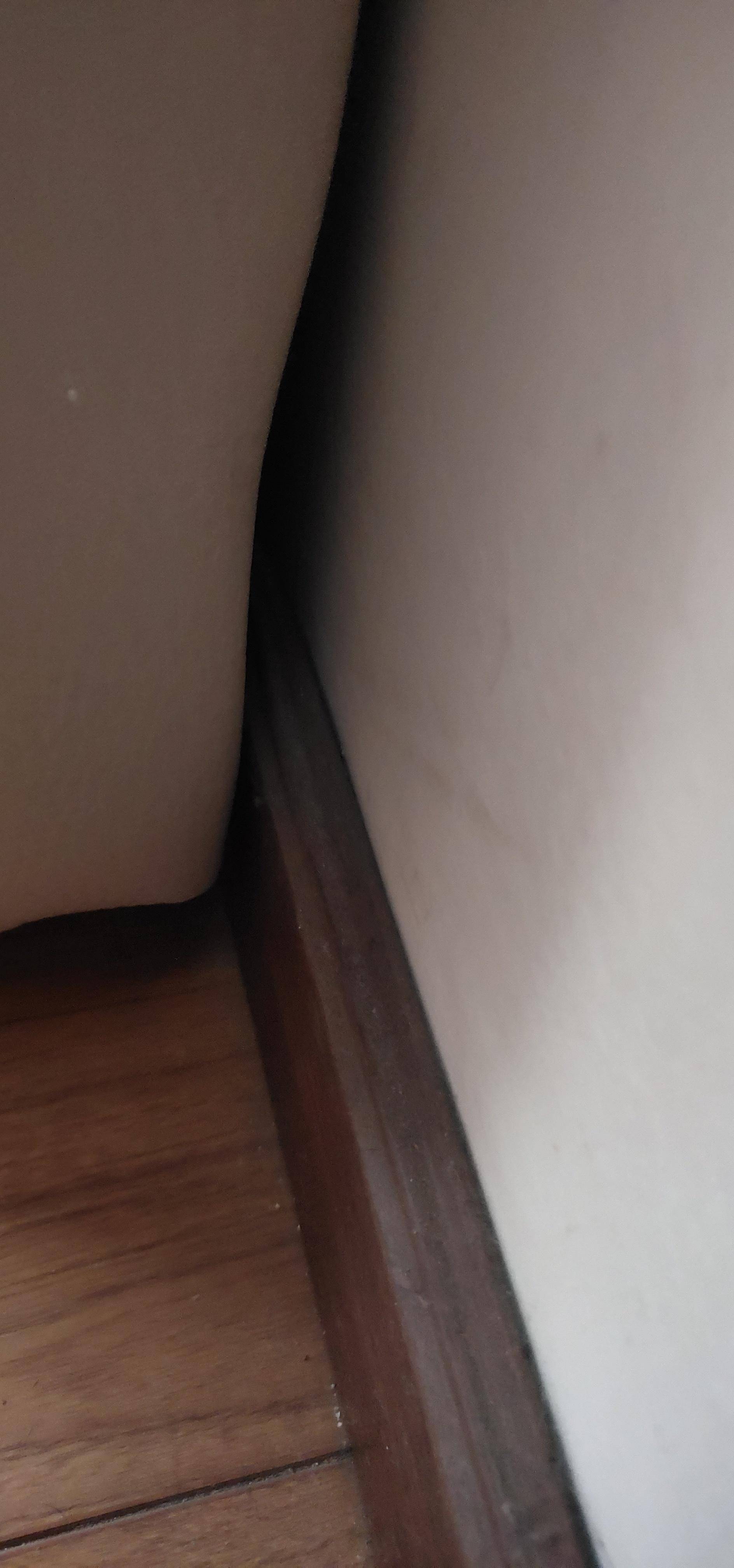 网上买床可靠吗200元,一千多的布艺床靠谱吗