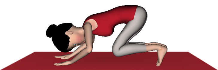 下犬式属于什么瑜伽,下犬式瑜伽调整什么