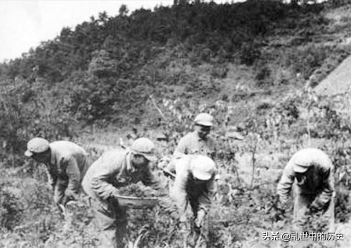 患夜盲症无法作战，38*用军**树皮煮水，180师吃马肝突围