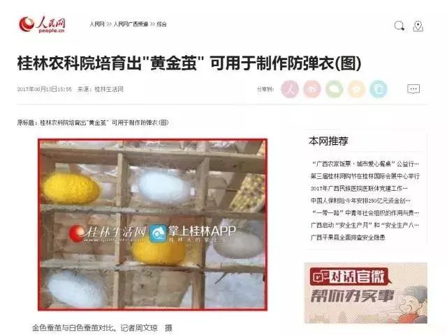 为何蚕宝宝吐有黄金丝,蚕宝宝吐的彩色丝是从哪来的