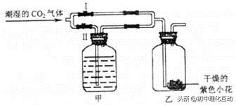 九年级化学碳和碳化合物实验题,初三化学碳和碳的氧化物试题