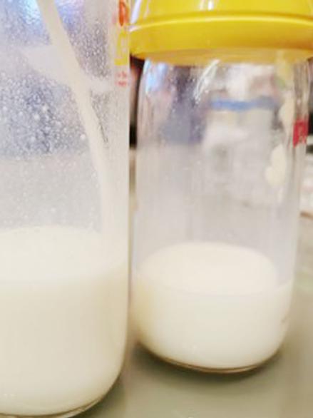 A2奶粉各个版本的区别,a2牛奶牌子