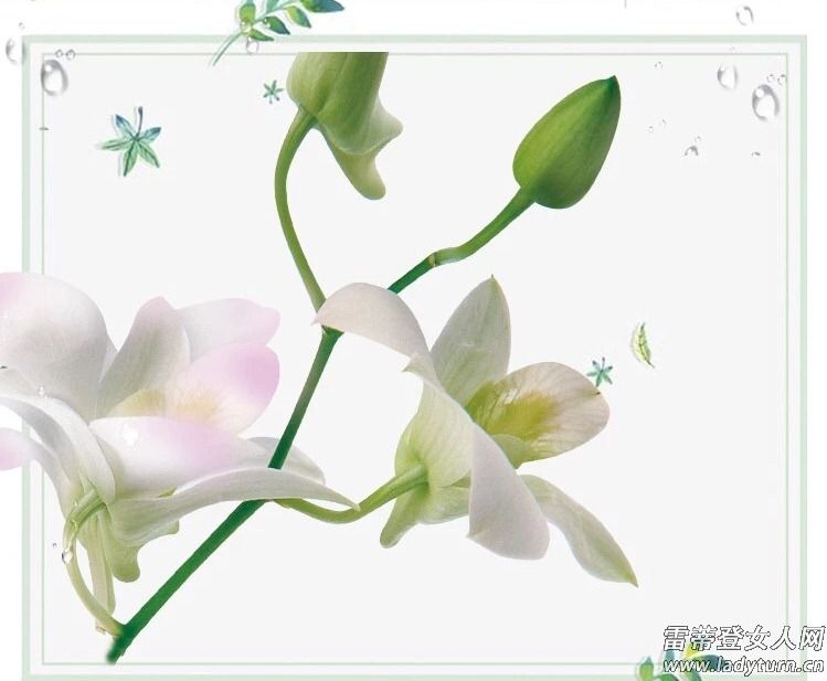 雅姿仙草面膜补水神器,雅姿气色锁水仙草面膜你用了吗