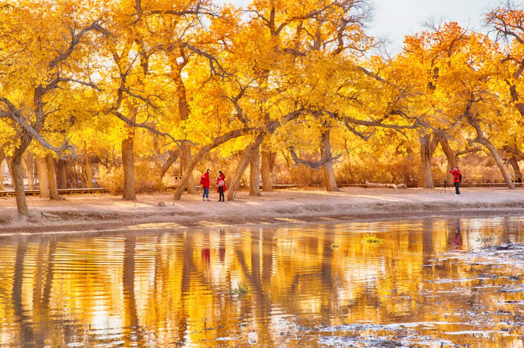 额济纳胡杨林自驾游详细攻略,宝鸡自驾往额济纳胡杨林攻略