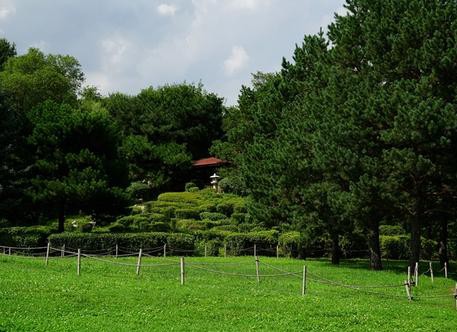 是夏天呀,是夏天呐