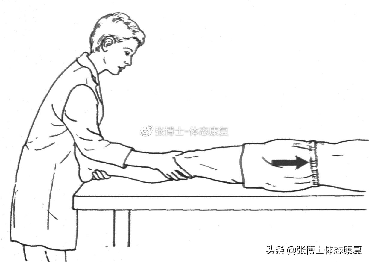 「功能训练」人体额状面稳定性与侧向子系统的关系