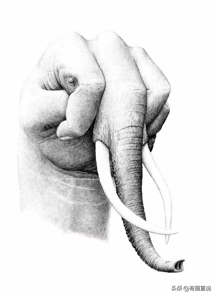 创意素描图片临摹大全4k,零基础简单素描画临摹