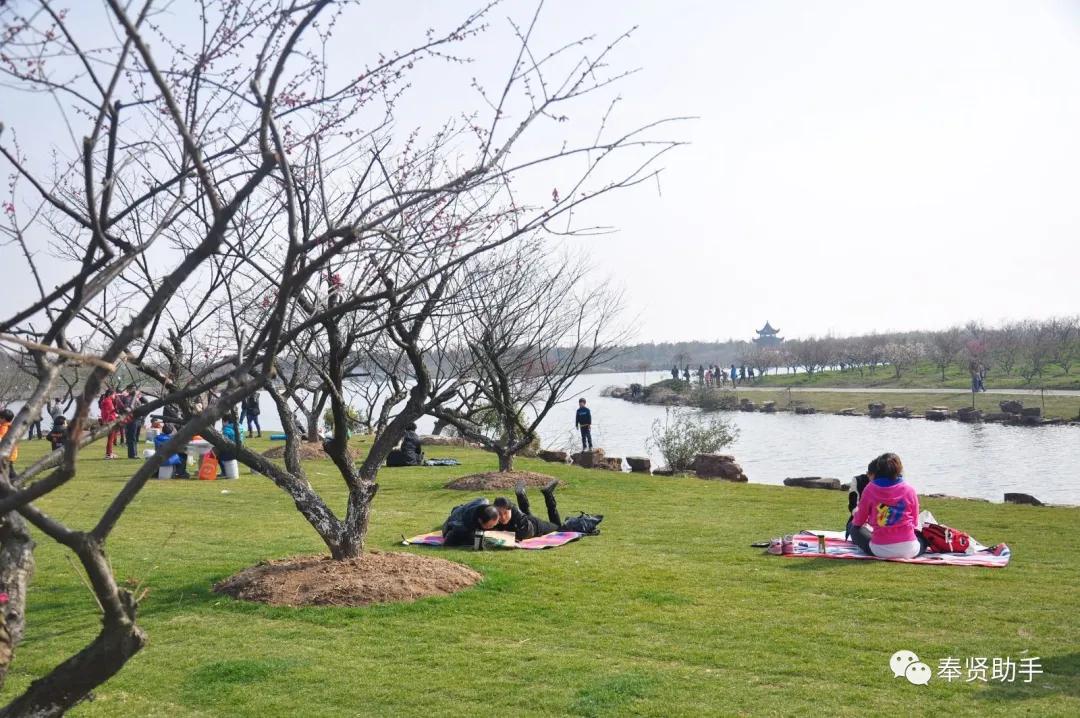 奉贤区南桥镇旅游景点,上海奉贤景点推荐一日游最佳路线