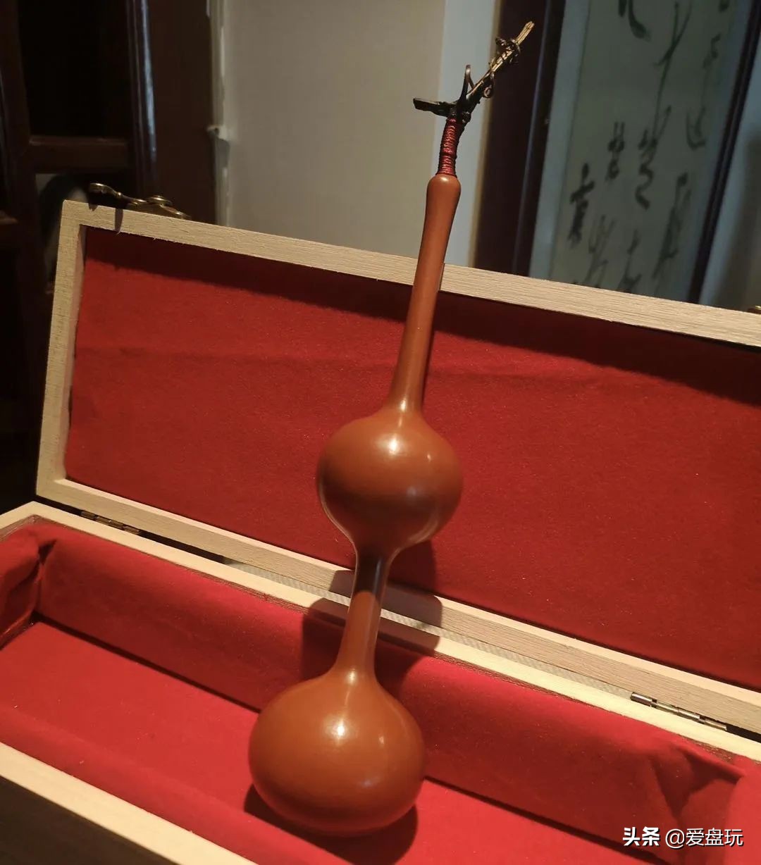 一把葫芦卖到上千上万，连种子都“千金难求”