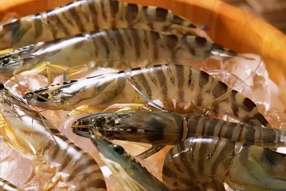 罗氏虾和基围虾区别哪个好,罗氏虾基围虾竹节虾区别