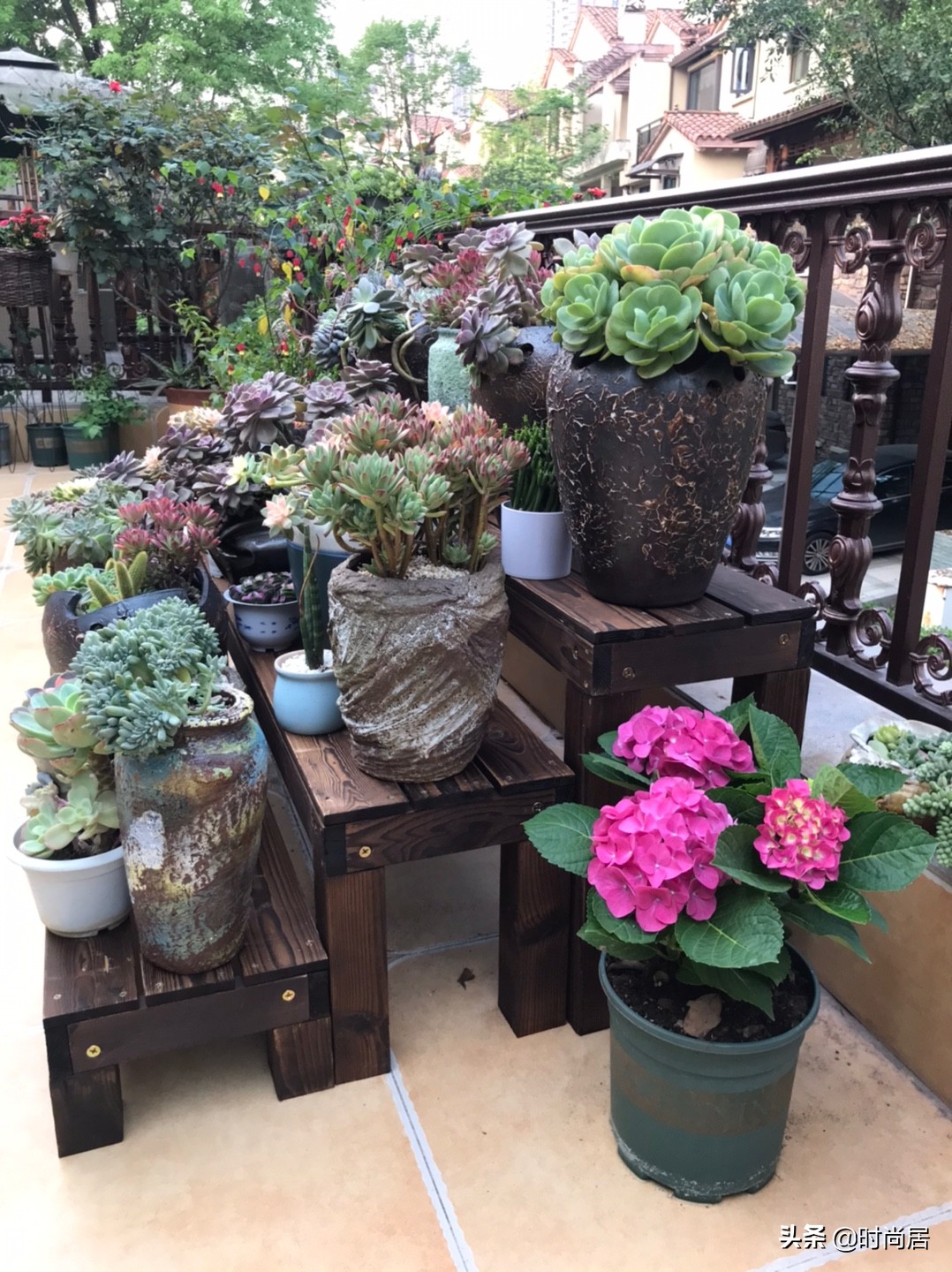 家庭花架放什么样的花盆好看,怎样做的花盆放在花架上才好看