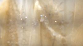 昆凌结婚穿的婚纱真的好大气,唐嫣昆凌婚纱