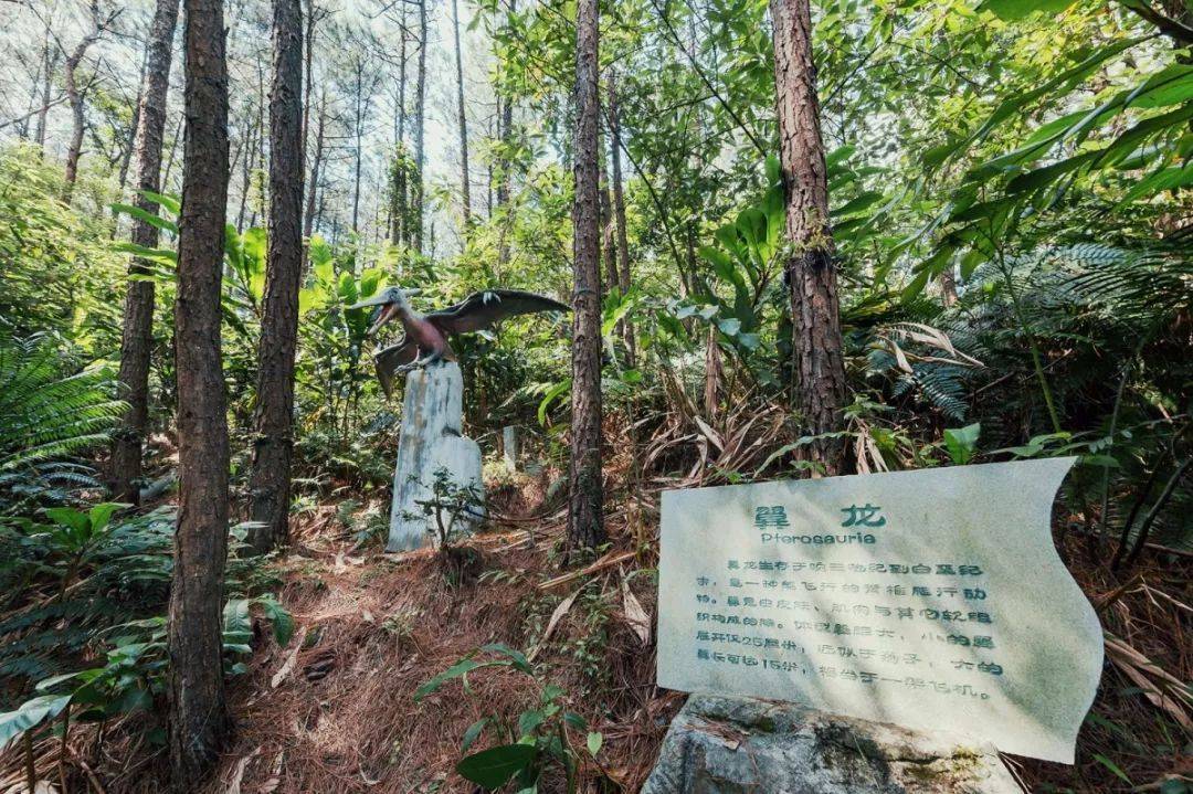 倒数狂欢夜,清远森波拉奇妙世界主题乐园住宿