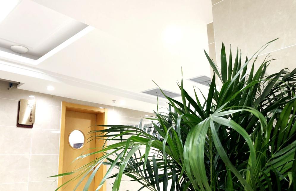 黑龙江省京科医院张丽萍,京科脑康张丽萍