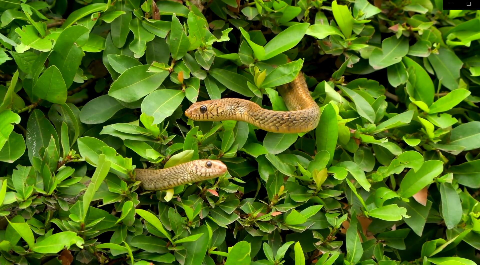 领势路由器mr7350覆盖面积,领势路由器e7350评测