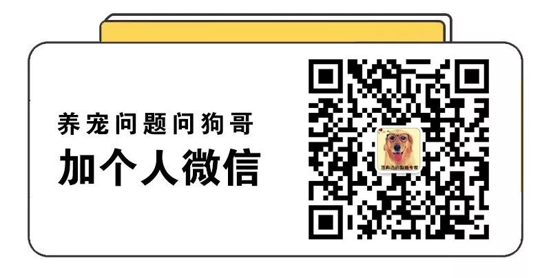 网上买猫咪体内驱虫靠谱吗,在网上买猫驱虫药